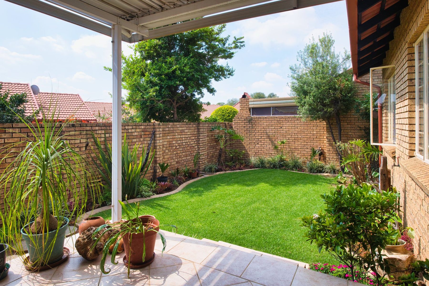 Residential Lawn Turf in Avondale AZ