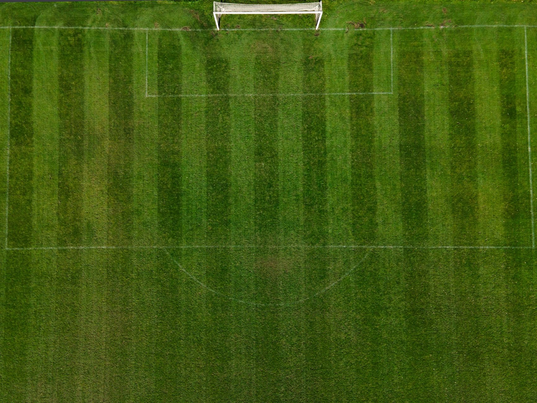 Sports & Fitness Turf in Avondale AZ