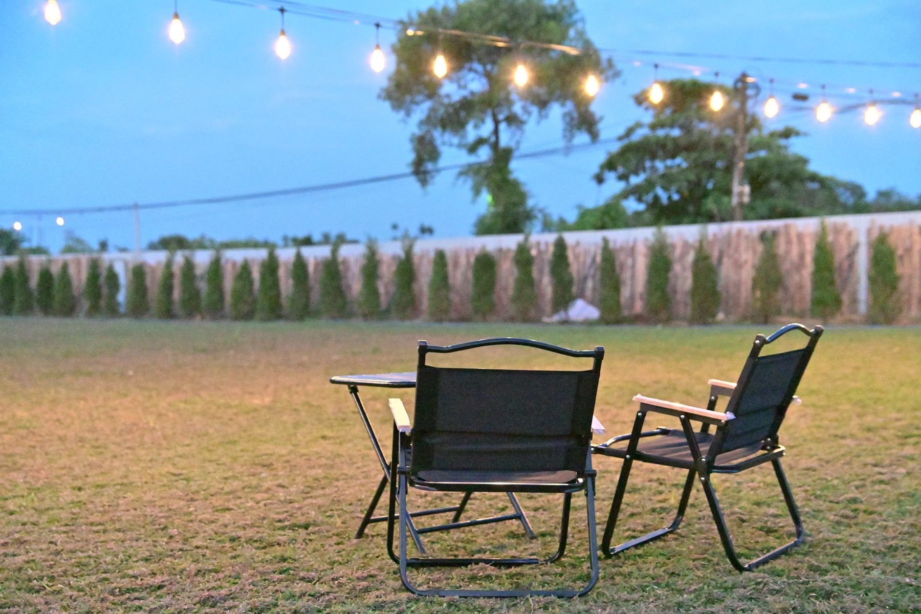 Landscape lighting at dusk in Avondale, AZ