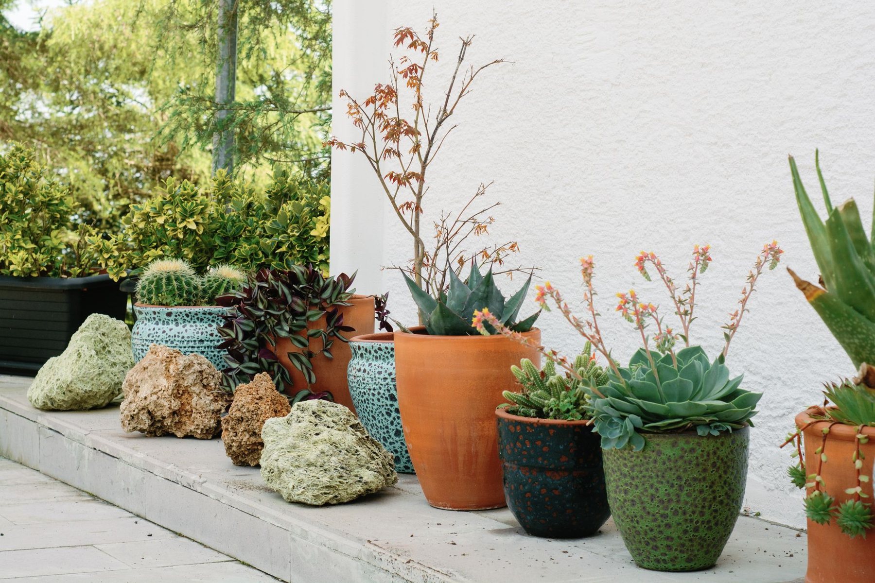 Desert xeriscape design in Avondale, AZ